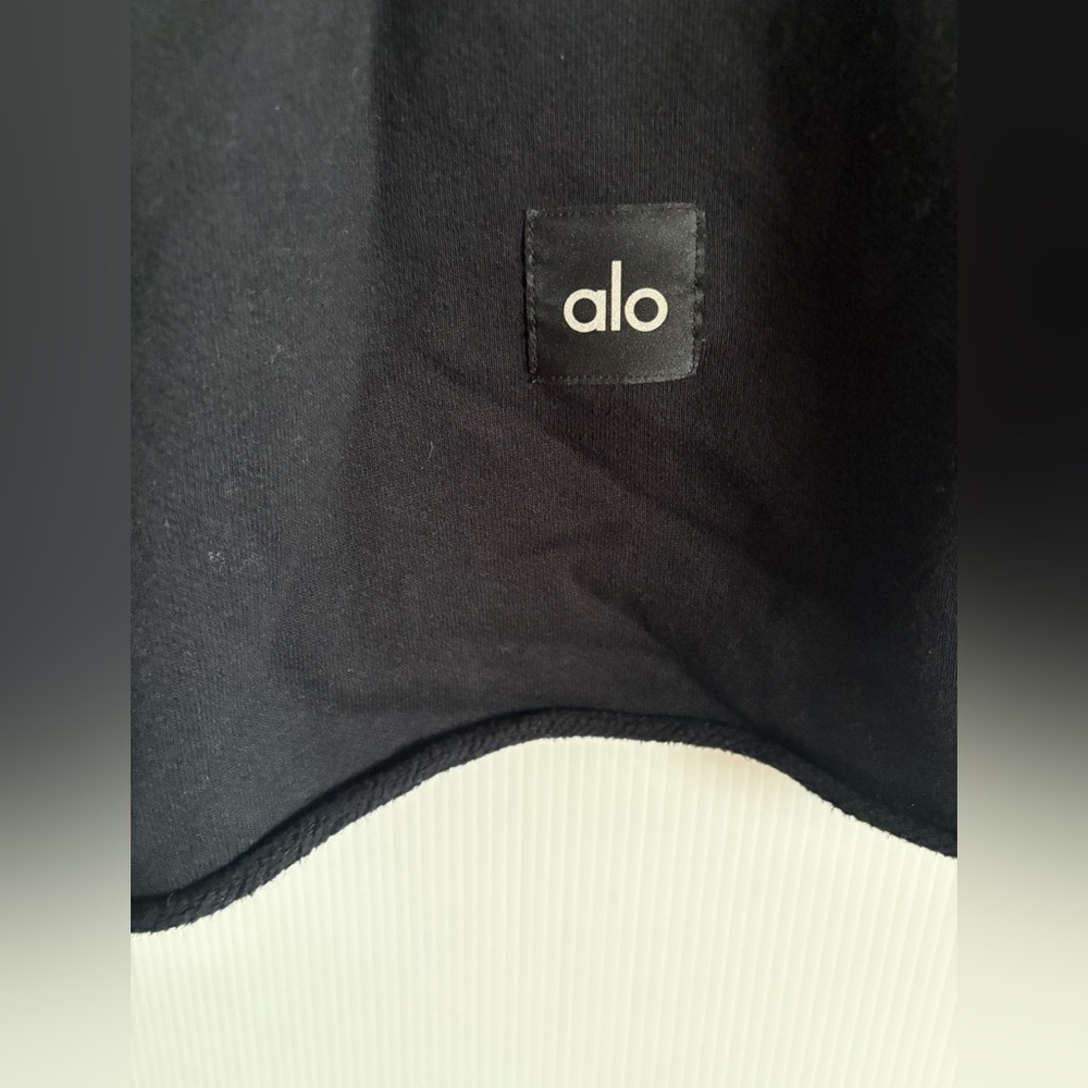 (SOLD) ALO Cropped Short Sleeve Hoodie - Picture 9 of 10